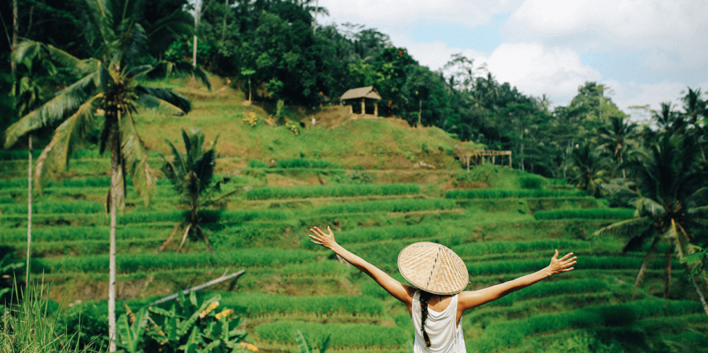 iris-localize-terrace